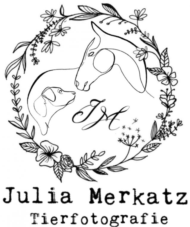 Julia Merkatz Tierfotografie